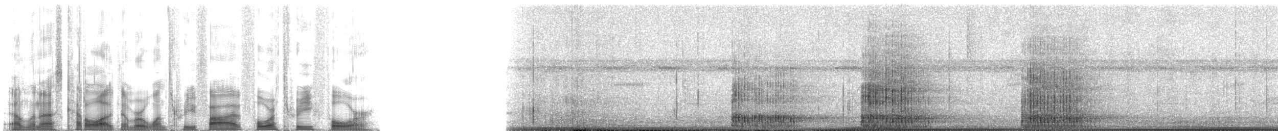 Чепура велика (підвид egretta) - ML135434