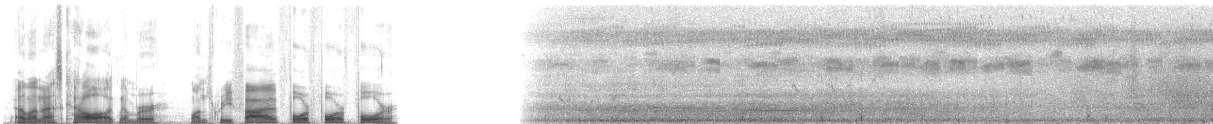 アフリカハゲコウ - ML135444
