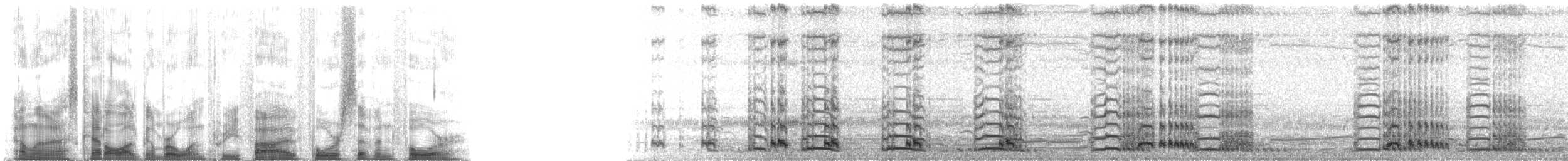 Sandhill Crane (Lesser) - ML135474