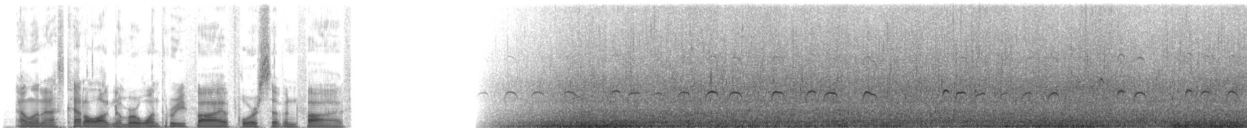 Spotted Sandpiper - ML135475