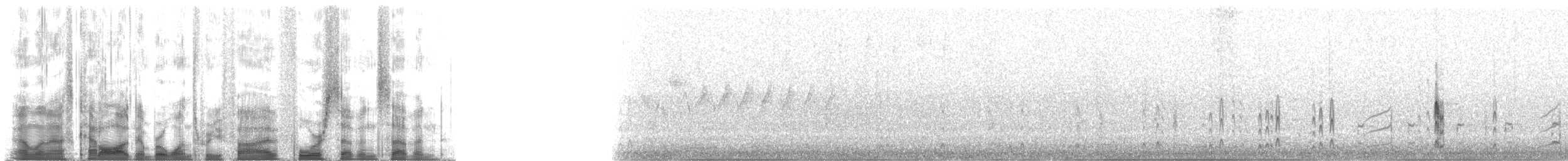 Red-necked Phalarope - ML135477