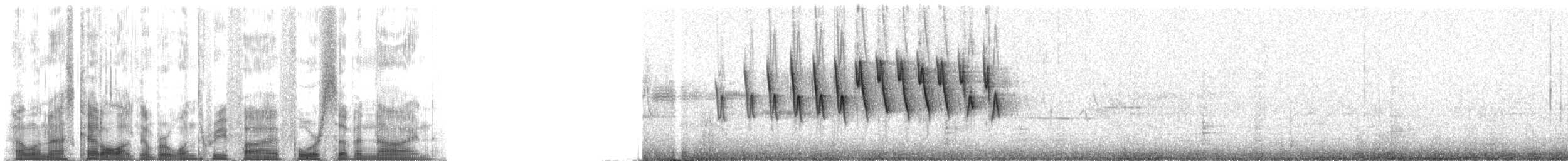 Wilson's Warbler - ML135479