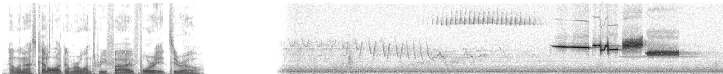 White-crowned Sparrow - ML135480