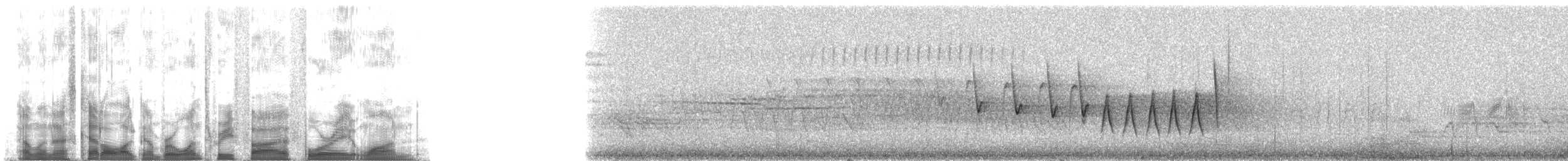 Northern Waterthrush - ML135481