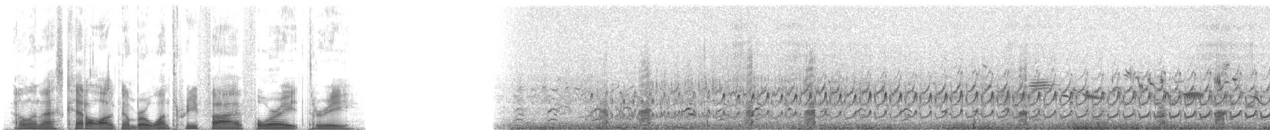 Semipalmated Sandpiper - ML135483