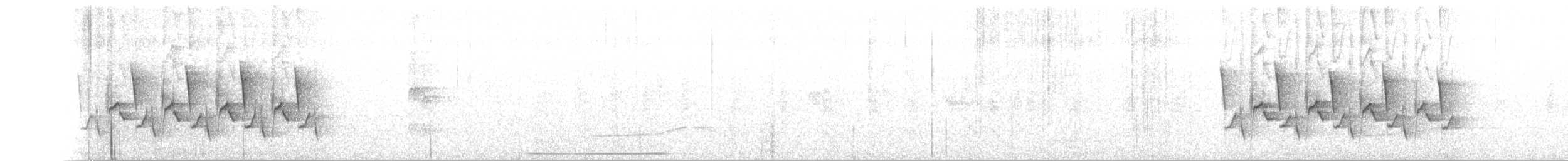 Carolina Wren (White-browed) - ML135483341