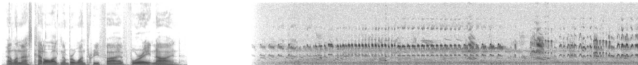 Black Turnstone - ML135489