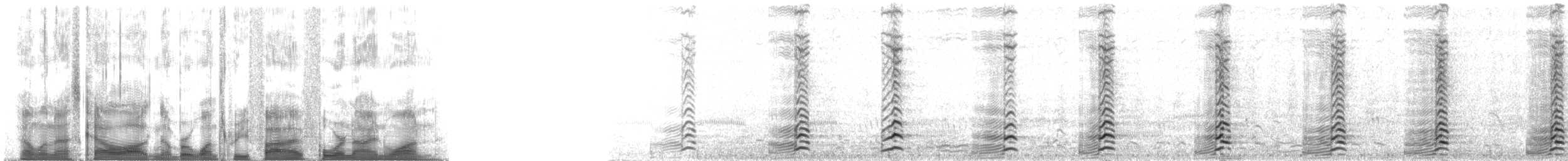 Малая канадская казарка (minima) - ML135491