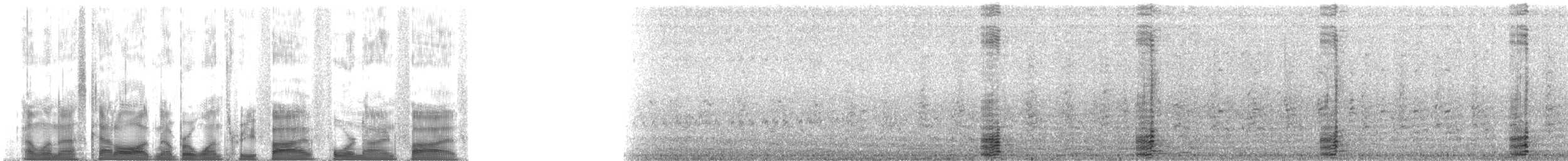 ברנטה כהה (שחורה) - ML135495