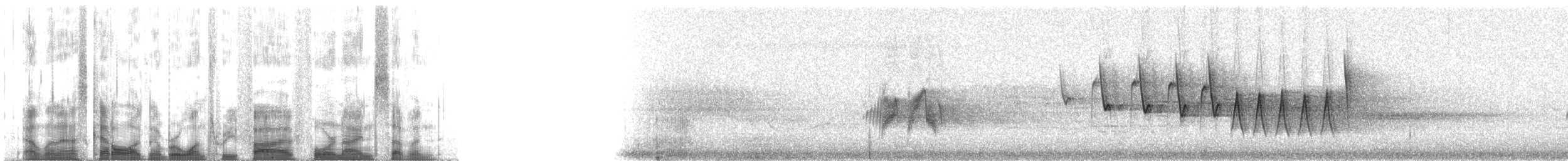 Northern Waterthrush - ML135497