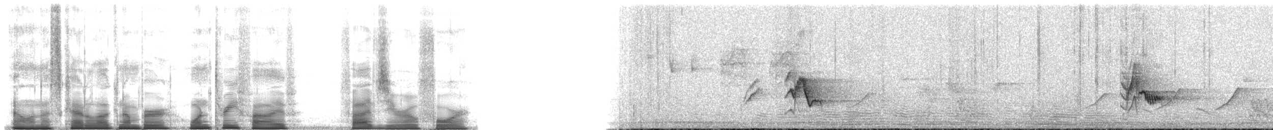 Vireo de Cassin (San Lucas) - ML135504