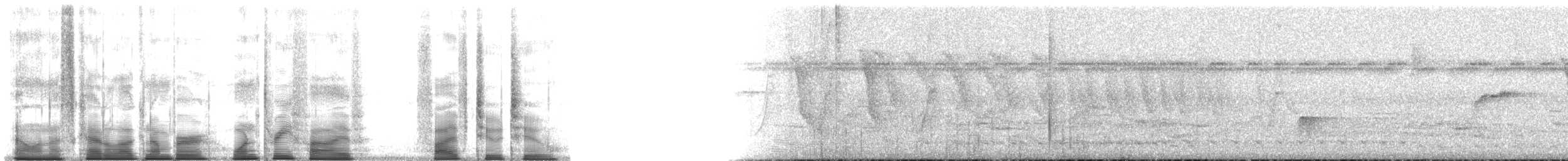 torntyrann - ML135522