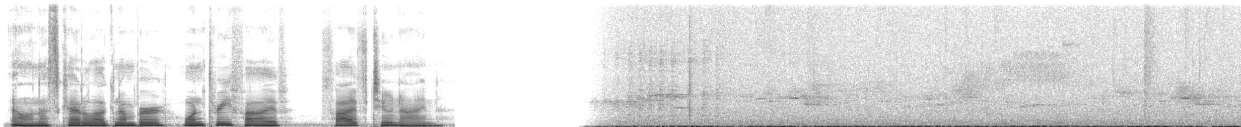 Çalı Tinamusu (occidentalis) - ML135529