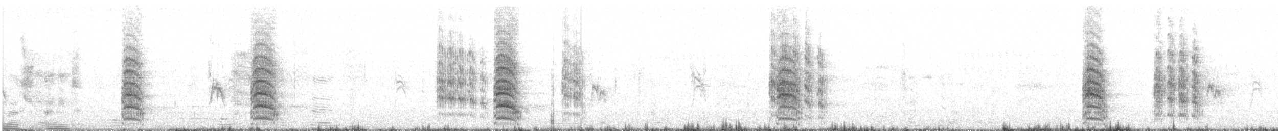 Mouette argentée (scopulinus) - ML135530911