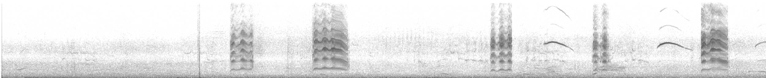 Mouette argentée (scopulinus) - ML135531221