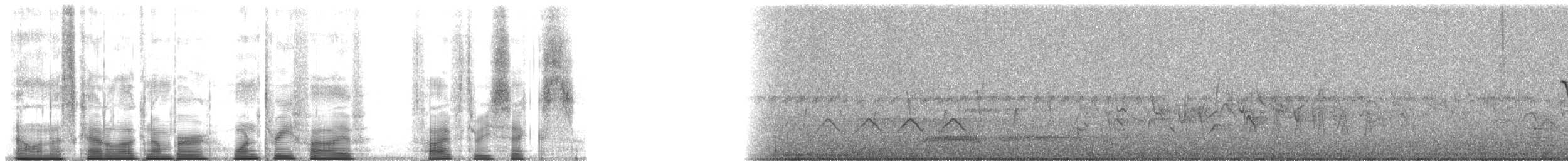 Turuncu Karınlı Çinte - ML135536