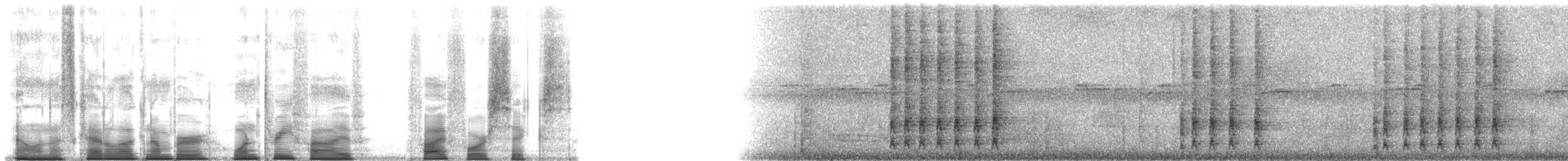 Sumichrast's Wren - ML135546