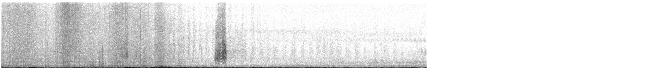 Istingor arrunta - ML135547081