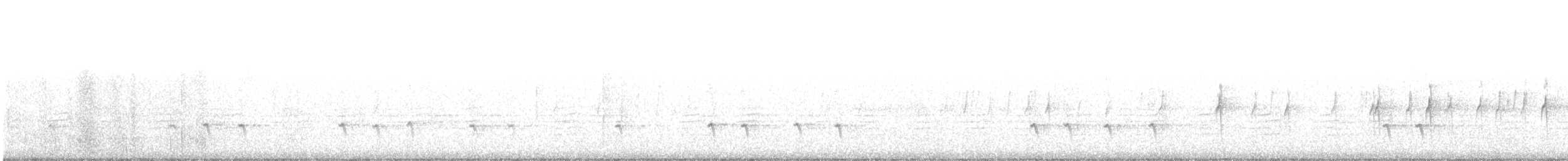 "Шишкар ялиновий (Northeastern, або тип 12)" - ML135626731