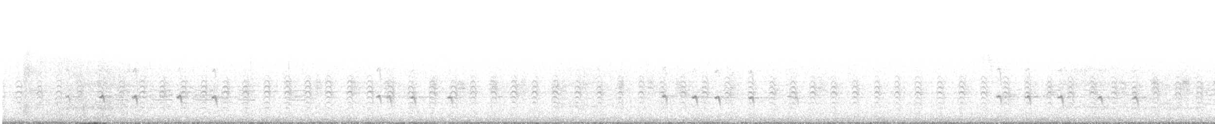 "Шишкар ялиновий (Northeastern, або тип 12)" - ML135626831