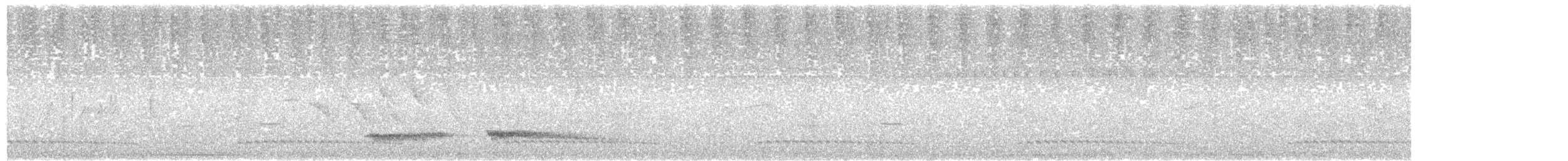 Small-billed Tinamou - ML135641141