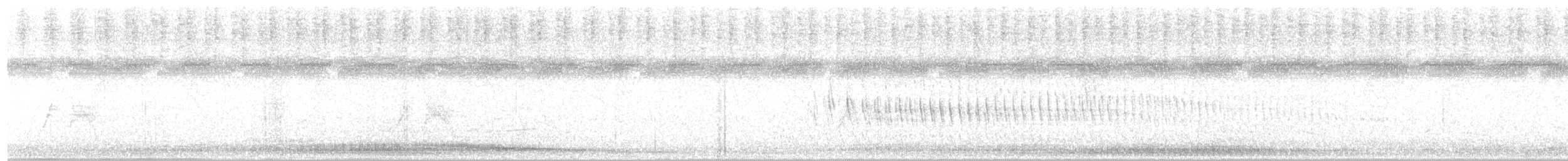 Weißbauch-Dickichtschlüpfer - ML135641321