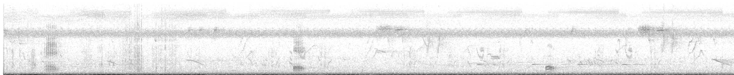 Белокрылая цапля - ML135662131