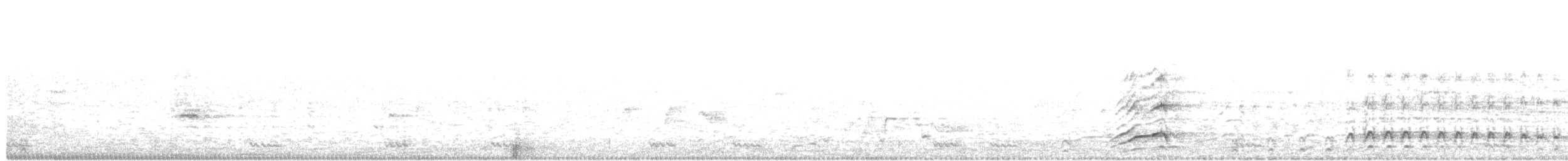 Malabar Gray Hornbill - ML135674611