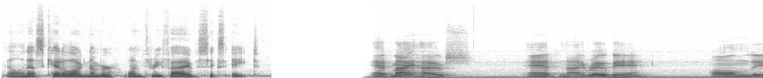 bergtrost (abyssinicus gr.) - ML13568