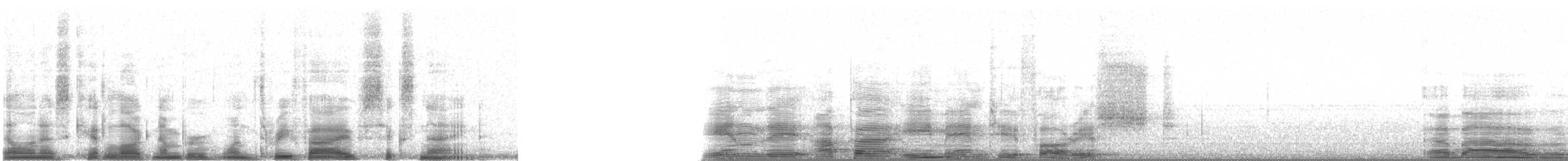 bergtrost (abyssinicus gr.) - ML13569