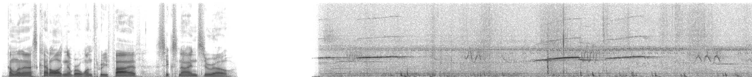 Striped Cuckoo - ML135690