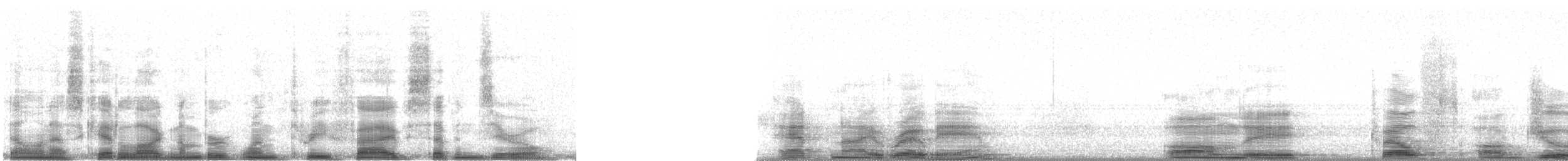 bergtrost (abyssinicus gr.) - ML13570