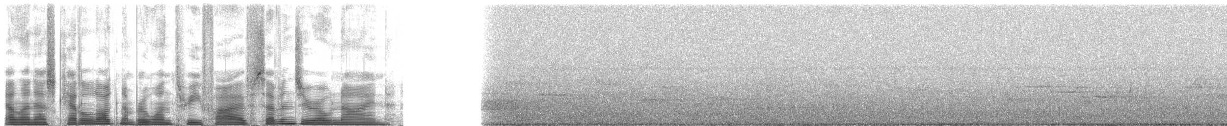 Дрізд-короткодзьоб бурий - ML135709