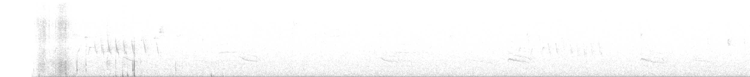 Barred Antshrike - ML135711231