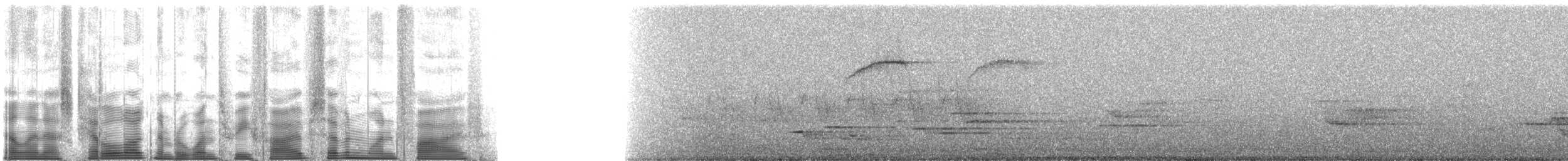 Дрізд-короткодзьоб бурий - ML135715