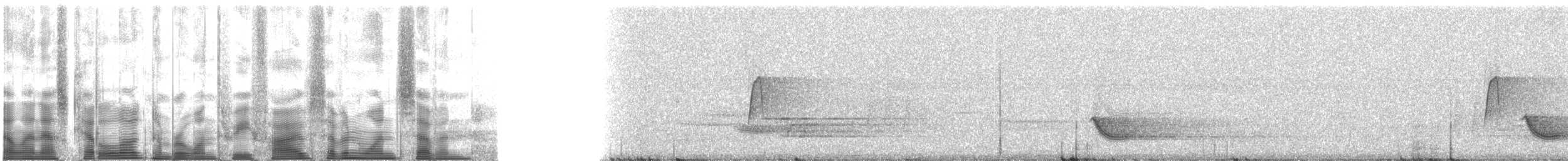 Дрізд-короткодзьоб бурий - ML135717