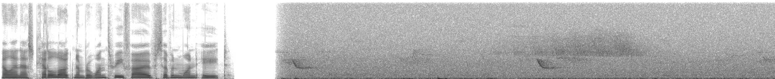 Дрізд-короткодзьоб бурий - ML135718