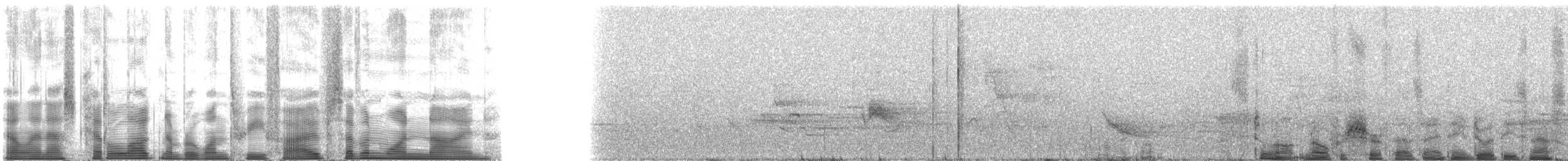 Дрізд-короткодзьоб бурий - ML135719