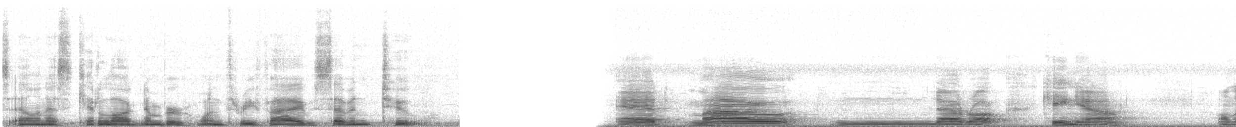 bergtrost (abyssinicus gr.) - ML13572