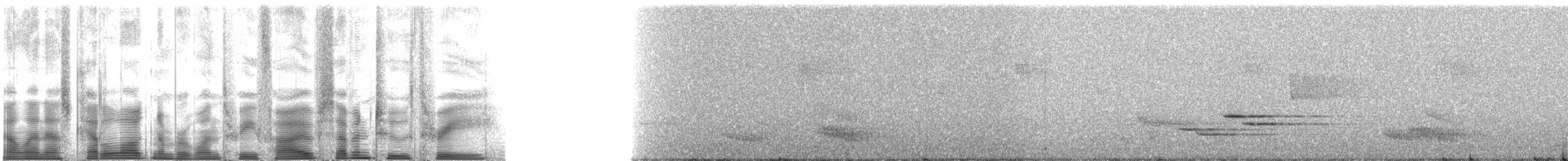 Дрізд-короткодзьоб бурий - ML135723