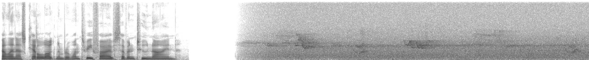 Дрізд-короткодзьоб бурий - ML135729