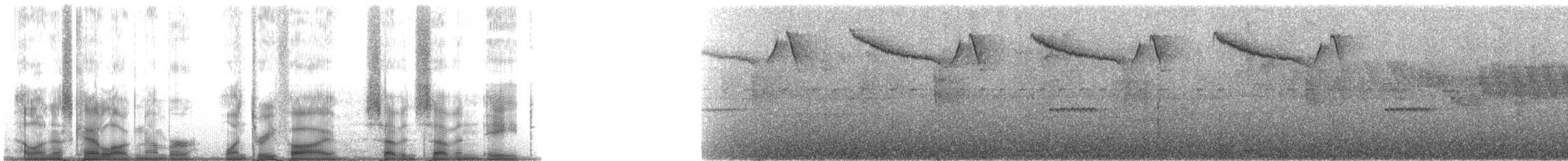 Olive-striped Flycatcher - ML135778