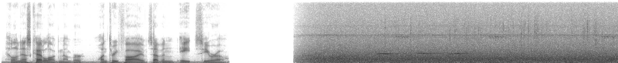 Pheasant Cuckoo - ML135780