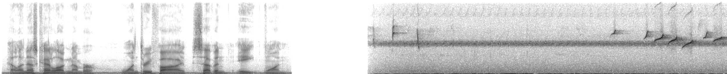 White-winged Tanager - ML135781