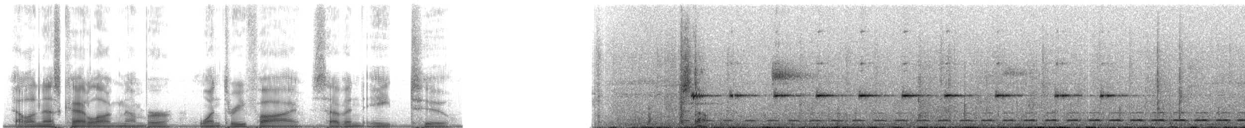 Rufescent Screech-Owl (Colombian) - ML135782