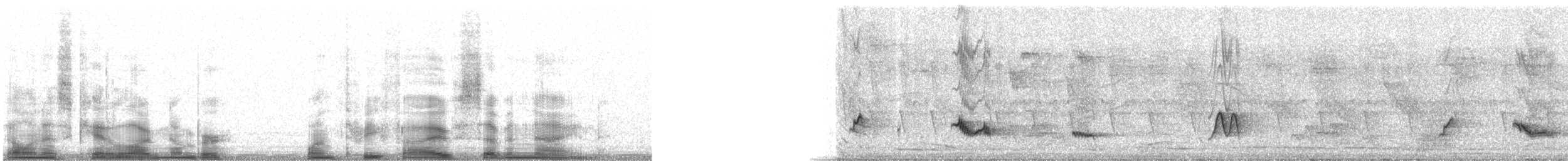 dryadetrost (albicollis gr.) - ML13579