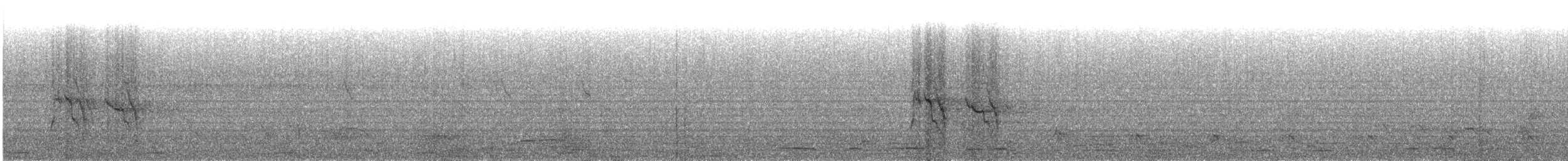 White-bellied Cuckooshrike - ML135816161