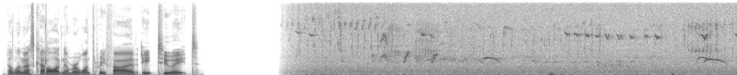 Stachelschwanzschlüpfer - ML135828