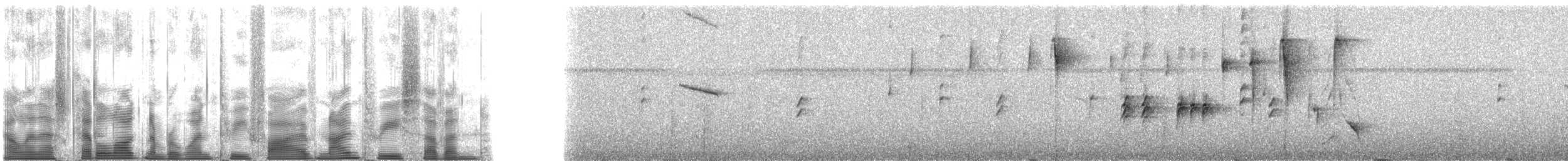 Lesser Antillean Euphonia - ML135937