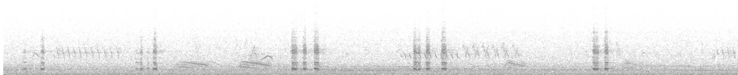 Ring-necked Pheasant - ML135962661